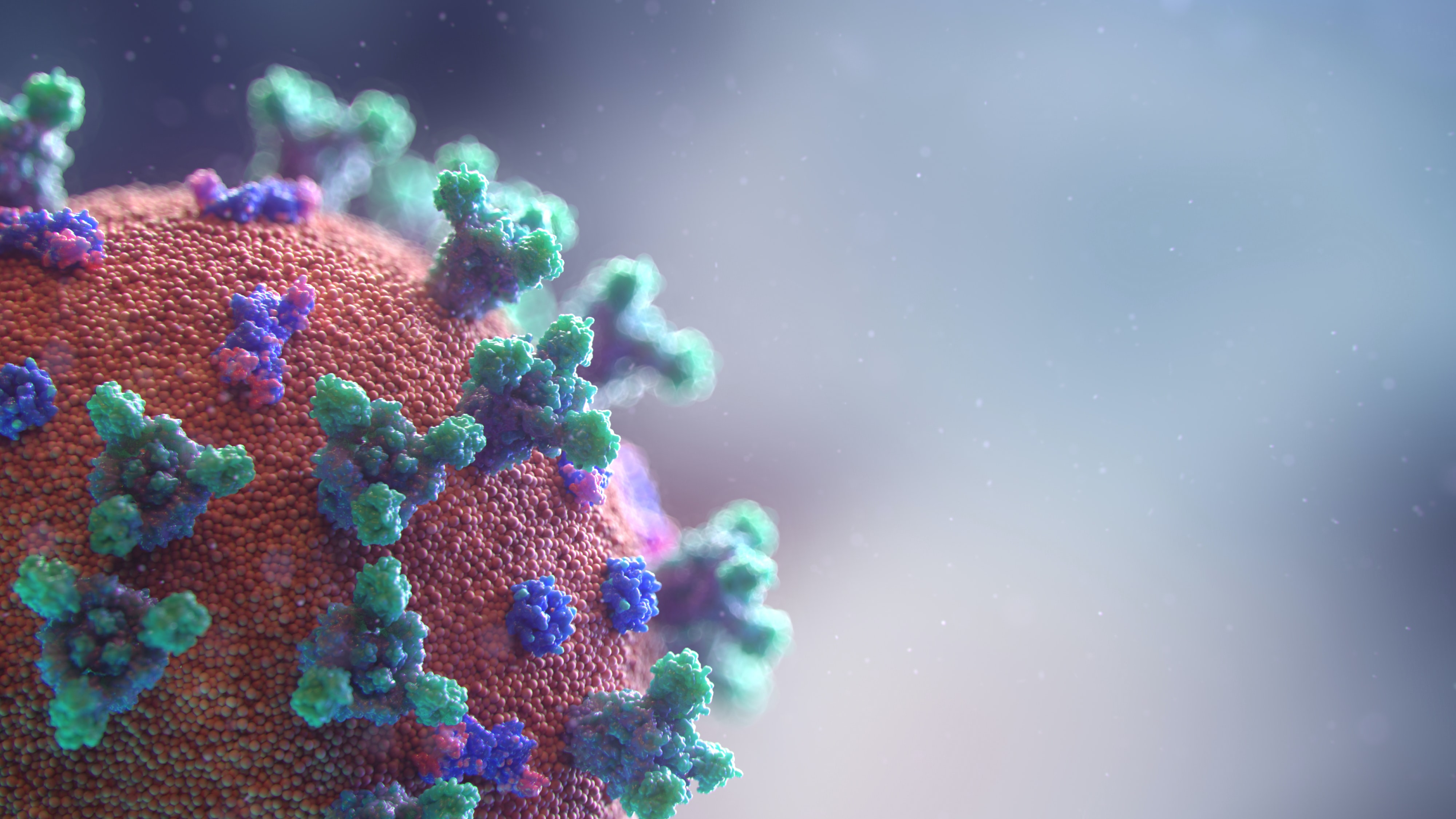 SQL & Tableau Project: the Coronavirus Pandemic